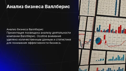 Анализ деятельности предприятия Wildberries с диаграммами и данными