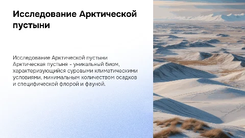 Арктическая пустыня