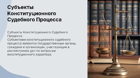 субъекты конституционного судебного процесса