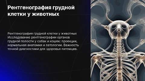 Рентгенография органов грудной полости у собак и кошек