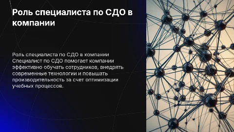 Что специалист по СДО может предложить компании