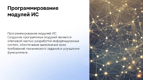 Программирование модулей информационной системы по ТЗ