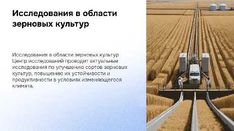 Исследования по зерновым культурам шаблон центра
