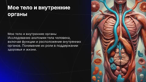 мое тело и внутренние органы