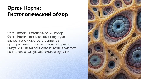 Орган Корти. Гистология