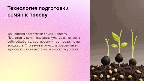 технология подготовки семян, овощных культур к посеву