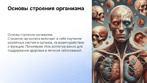 строение организма(пример картинок)