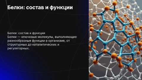 Белки их состав и функции