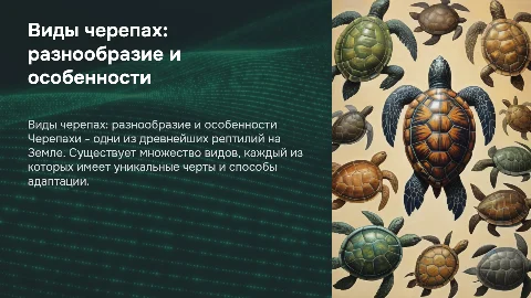Виды черепах