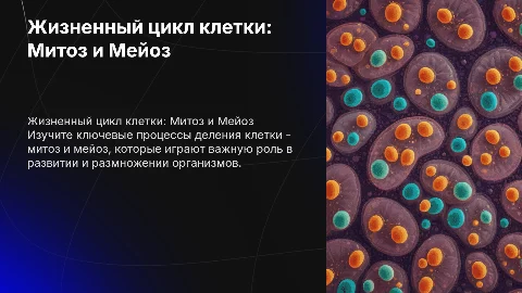Жизненный цикл клетки. Митоз. Мейоз