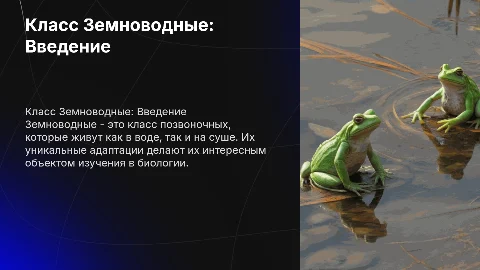 Класс Земноводные