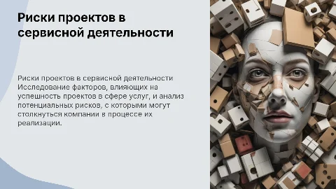 Курсовая работа: Риски проектов в сервисной деятельности