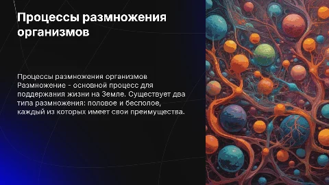 Размножение организмов