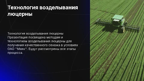 Технология возделывания люцерны на сенаж в ОАО "Маяк"