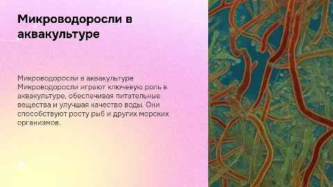 Микроводоросли, использование микроводорослей в аквакультуре