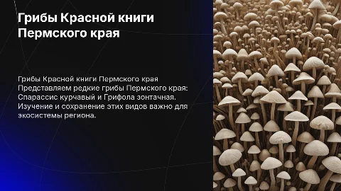 Грибы Красной книги Пермского края: Спарассис и Грифола