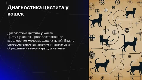 диагностика цистита у кошек