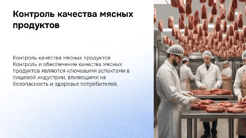 контроль и качество продуктов питания мясо