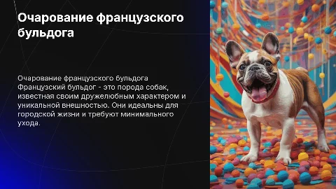 Французский бульдог