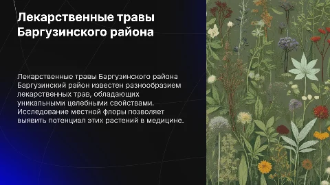 Лекарственные травы Баргузинского района