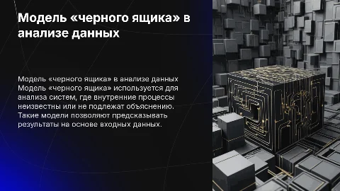 Модель «черного ящика»