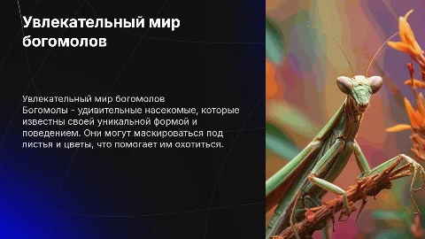 презентация про богомола для дошкольников