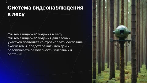 Система видеонаблюдения лесного участка
