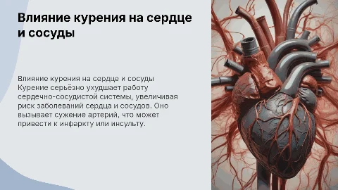 Влияние курения на сердечно-сосудистую систему
