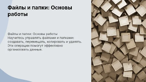 Файлы и папки. Основные операции с файлами и папками