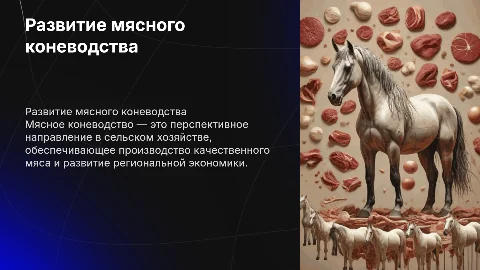 Мясное коневодство