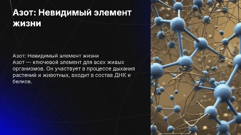 Азот в нашей жизни: Презентация с картинками и схемами