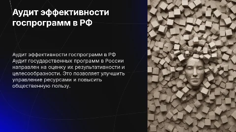 Аудит эффективности госпрограмм в Российской Федерации