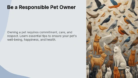How to Be a Responsible Pet Owner