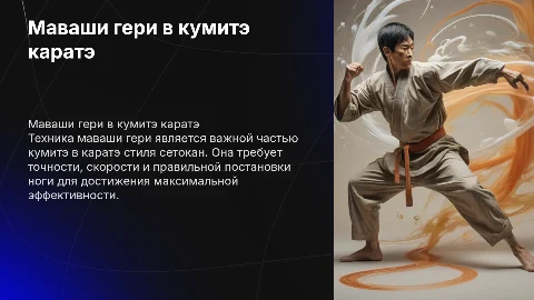 Маваши гери в принципах кумитэ каратэ сетокан