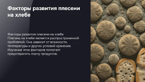 Факторы, влияющие на развитие плесени на хлебе