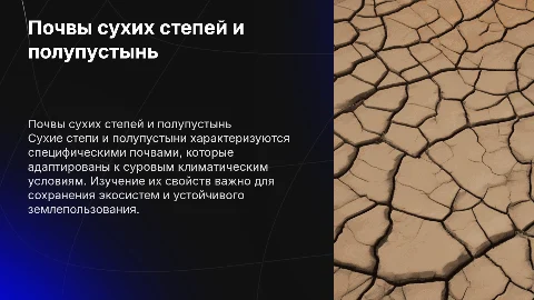 Почвы почвы сухих степей и полупустынь