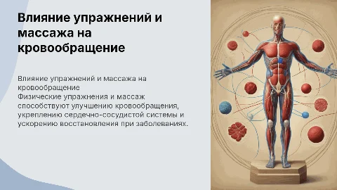 Физиологическое воздействие упражнений и массажа на организм
