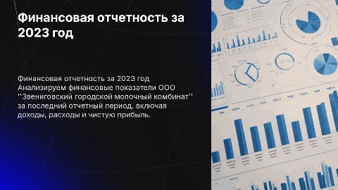 Финансовая отчетность ООО "Звениговский городской молочный комбинат"