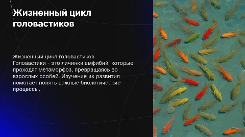 головастики