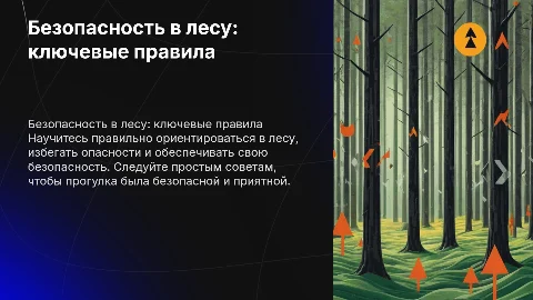 безопасное поведение в лесу