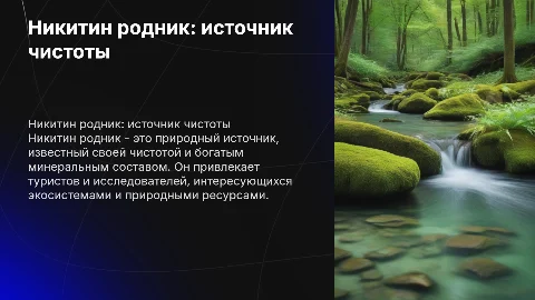 никитин родник