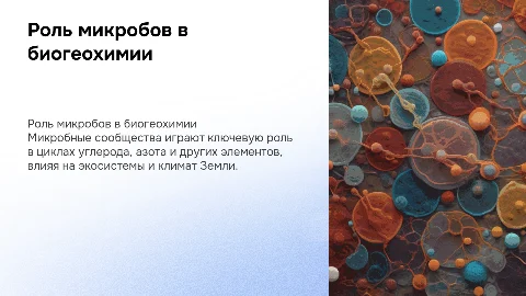 Участие микробных сообществ в биогеохимических циклах