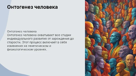 Онтогенез человека