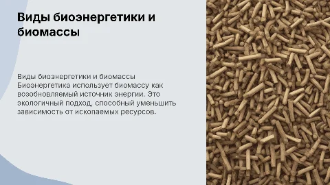 Виды биоэнергетики. Биомассы как источник энергии