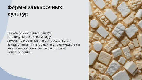 Формы выпуска заквасочных культур: лиофилизированные и замороженные