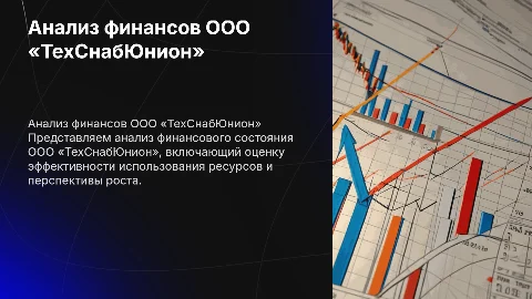Анализ финансового состояния предприятия ООО «ТехСнабЮнион»