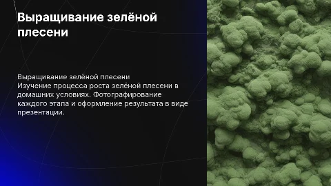 Презентация о выращивании зеленой плесени: этапы и фото