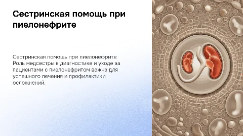 сестринская деятельность при пиелонефрите