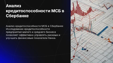Анализ кредитоспособности МСБ в ПАО Сбербанк