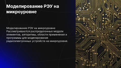 Моделирование РЭУ на микроуровне: алгоритмы и программы